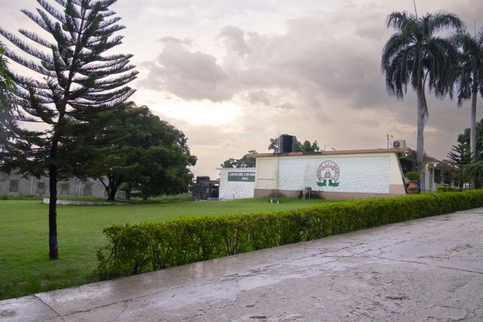 DSCF0881